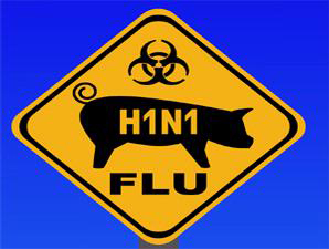 h1n1-2-in
