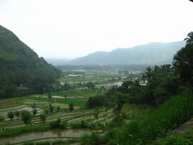 2F